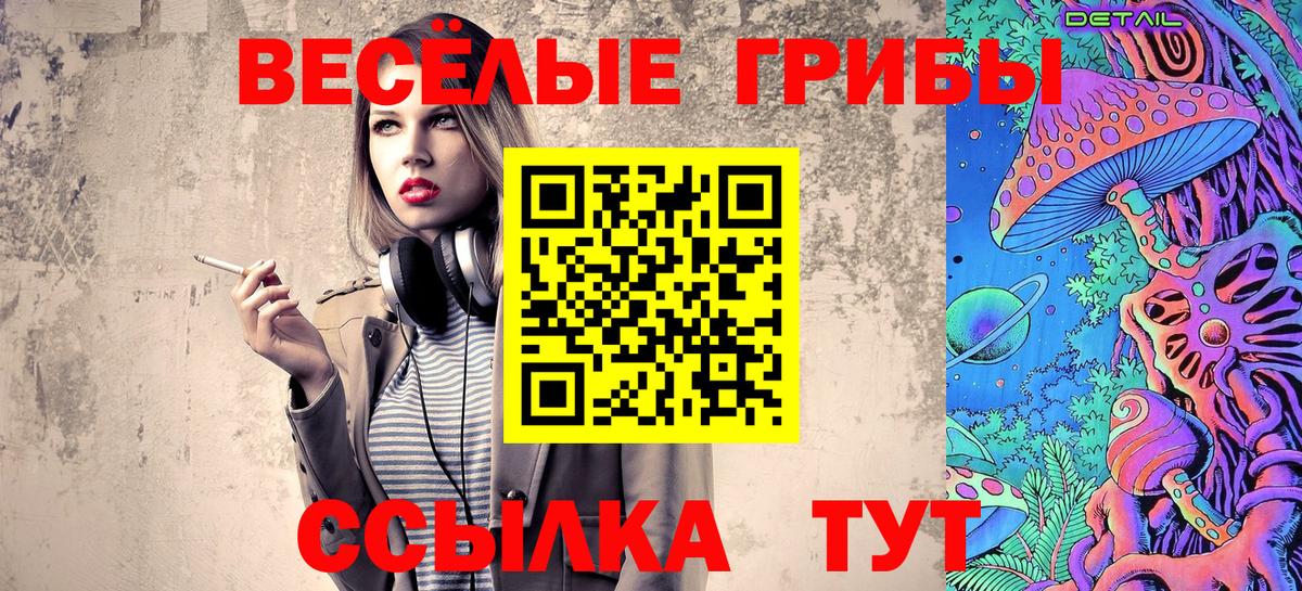 Псилоцибиновые грибы Psilocybine cubensis  Вход с VPN  Вольск 